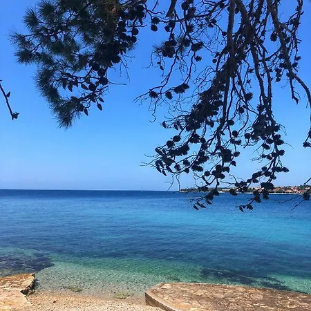 Apartamento Fantastic With Small Children - 200m From Vrsi